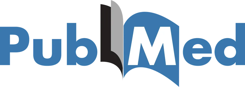 The Burntide brand wordmark