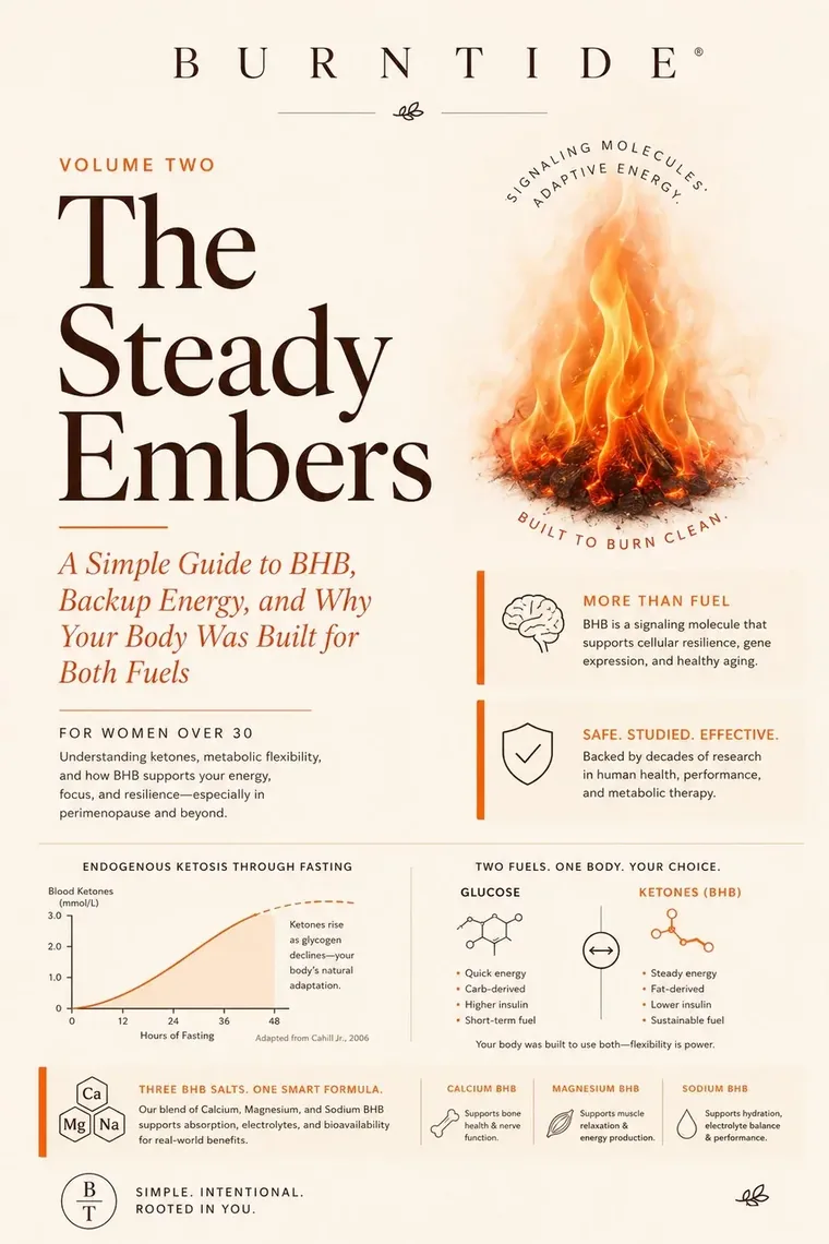 Cover of Volume Two, The Steady Embers, showing a fire and a ketone chart